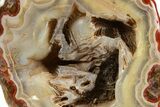 Tumbled Banded Agate Nodule - Kerrouchen, Morocco #324040-1